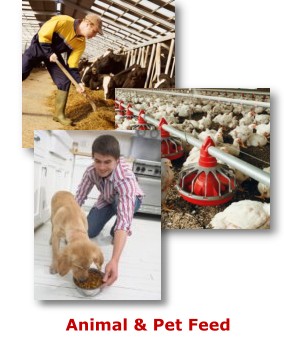 Animal & Pet Feed